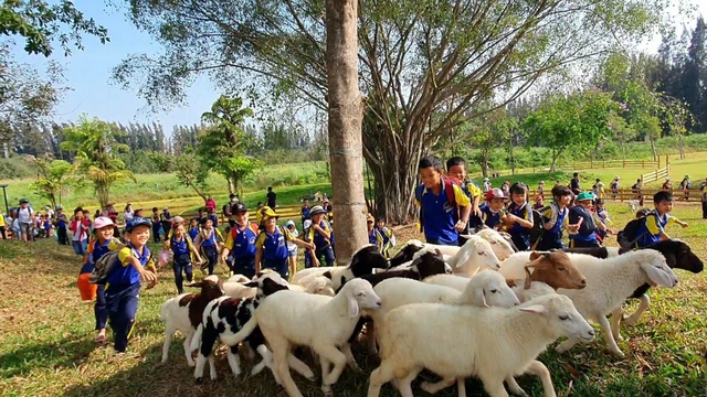 Ngành du lịch Long An đang chuyển biến mạnh mẽ- Ảnh 2.