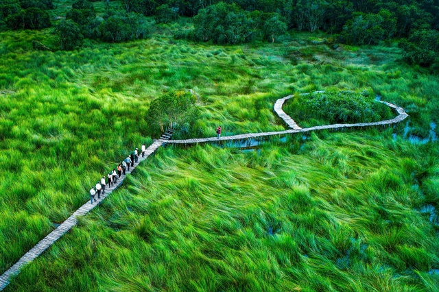 Ngành du lịch Long An đang chuyển biến mạnh mẽ- Ảnh 4.