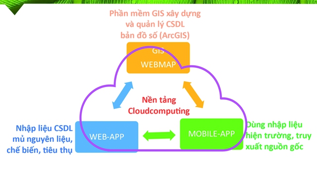 Tiên phong xây dựng hệ thống truy xuất nguồn gốc tuân thủ EUDR- Ảnh 4.