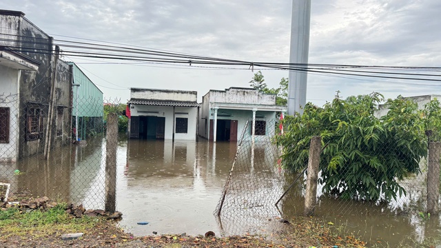 Bình Thuận: Mưa lớn, hơn 400 ha thanh long ngập sâu trong nước- Ảnh 1.