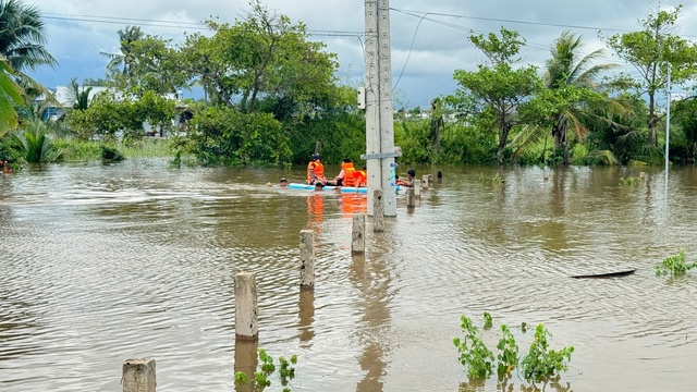 Bình Thuận: Mưa lớn, hơn 400 ha thanh long ngập sâu trong nước- Ảnh 3.