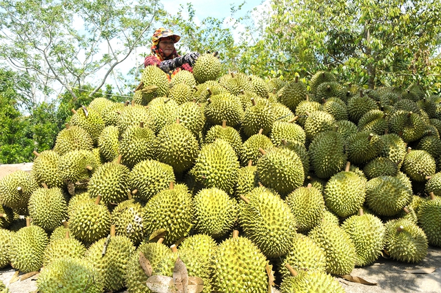 Nông dân hạnh phúc - Đất nước phồn vinh- Ảnh 1.