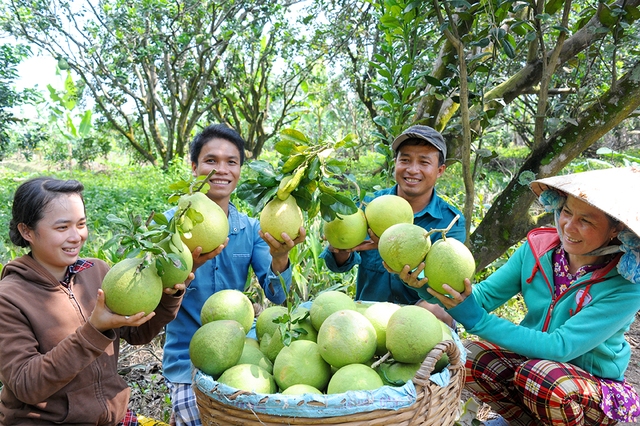 Nông dân hạnh phúc - Đất nước phồn vinh- Ảnh 2.