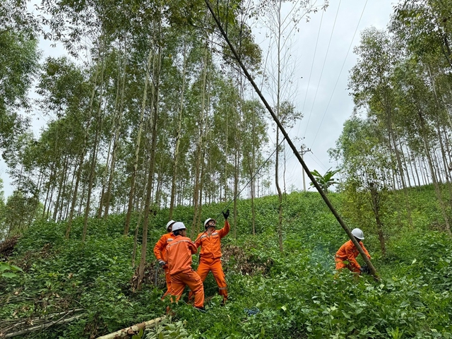 EVNNPC sẵn sàng nhiều phương án đảm bảo cung cấp điện dịp nghỉ lễ Quốc khánh 2.9- Ảnh 1.