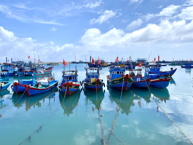 Hướng dẫn ngư dân Quảng Ngãi đăng ký, đăng kiểm cho tàu cá '3 không'- Ảnh 1.