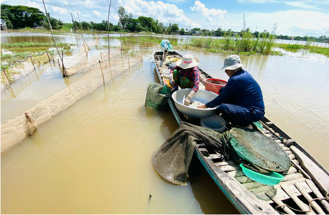 Nhiều bất ngờ về nhịp lũ sông Mekong đầu mùa- Ảnh 1.