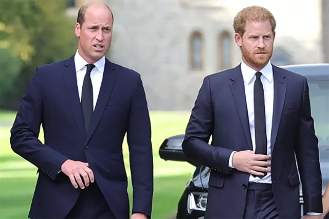 Hoàng tử Harry và William tránh nhau tại đám tang người thân- Ảnh 1.