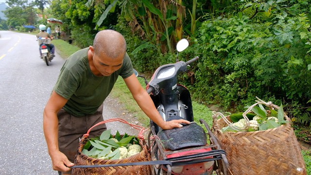 Giá na sụt giảm nhanh, nhà vườn vẫn lãi lớn- Ảnh 2.