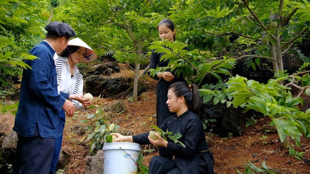 Giá na sụt giảm nhanh, nhà vườn vẫn lãi lớn- Ảnh 1.