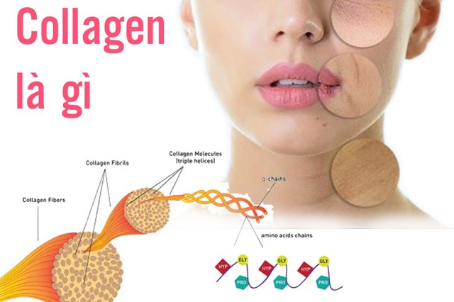 Loại collagen nào đang được tìm mua nhiều hàng đầu hiện nay?- Ảnh 2.