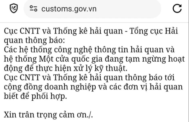 Hệ thống bị sự cố, Tổng cục Hải quan 'hỏa tốc' hướng dẫn khai thủ công trong đêm- Ảnh 1.