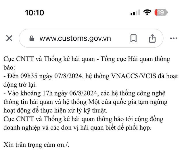 Hệ thống hải quan điện tử bị 'tê liệt'- Ảnh 2.