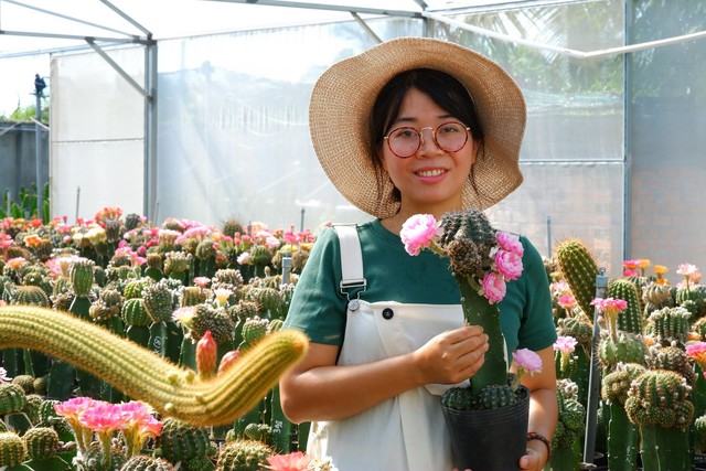 Nuôi ong dú kết hợp trồng xương rồng siêu bông, thu về gần 300 triệu đồng/năm- Ảnh 1.