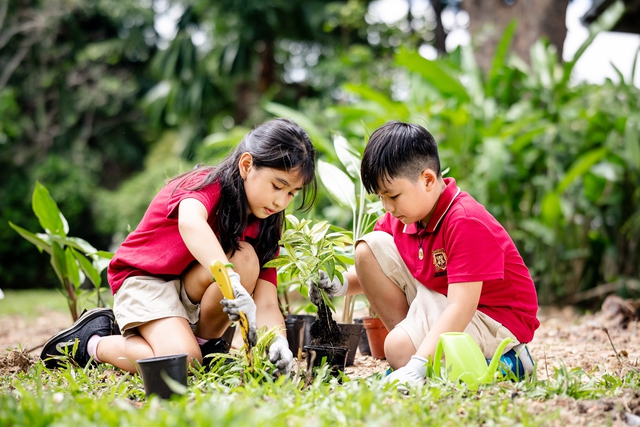 Các trường mầm non học phí trên trăm triệu đồng/năm ở TP.HCM- Ảnh 1.