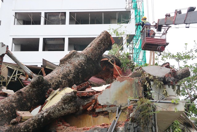 ‘Lính đặc nhiệm’ TP.HCM bay ra Hải Phòng hỗ trợ khắc phục hậu quả bão số 3- Ảnh 5.