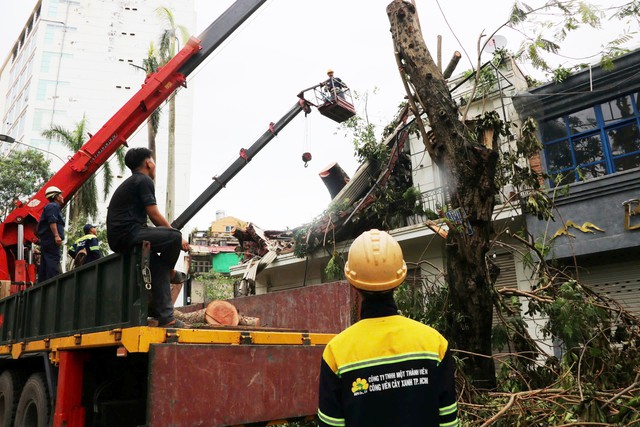 ‘Lính đặc nhiệm’ TP.HCM bay ra Hải Phòng hỗ trợ khắc phục hậu quả bão số 3- Ảnh 3.