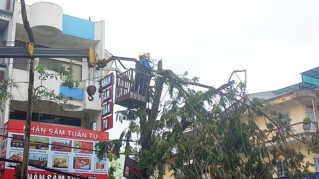 ‘Lính đặc nhiệm’ TP.HCM bay ra Hải Phòng hỗ trợ khắc phục hậu quả bão số 3- Ảnh 6.