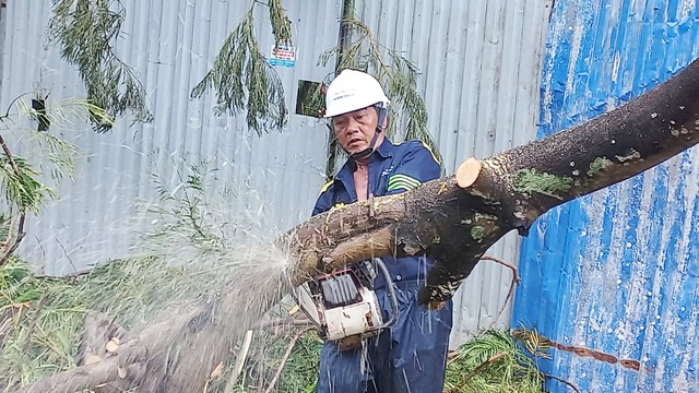 ‘Lính đặc nhiệm’ TP.HCM bay ra Hải Phòng hỗ trợ khắc phục hậu quả bão số 3- Ảnh 7.