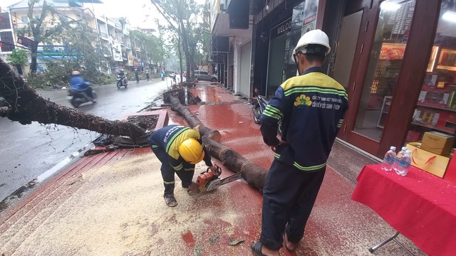 ‘Lính đặc nhiệm’ TP.HCM bay ra Hải Phòng hỗ trợ khắc phục hậu quả bão số 3- Ảnh 8.