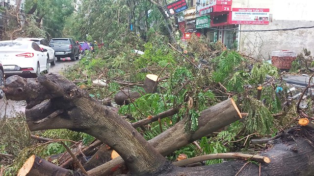 ‘Lính đặc nhiệm’ TP.HCM bay ra Hải Phòng hỗ trợ khắc phục hậu quả bão số 3- Ảnh 9.