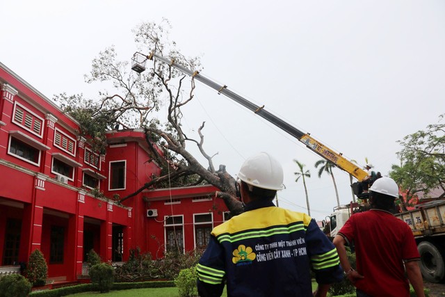 ‘Lính đặc nhiệm’ TP.HCM bay ra Hải Phòng hỗ trợ khắc phục hậu quả bão số 3- Ảnh 2.