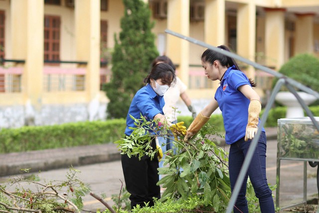 Gần 8.000 thanh niên Hải Dương tham gia khắc phục hậu quả bão số 3- Ảnh 1.