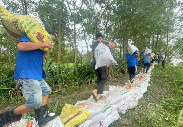 Phối hợp các đội hình thanh niên tình nguyện giúp dân khắc phục bão, lũ- Ảnh 2.