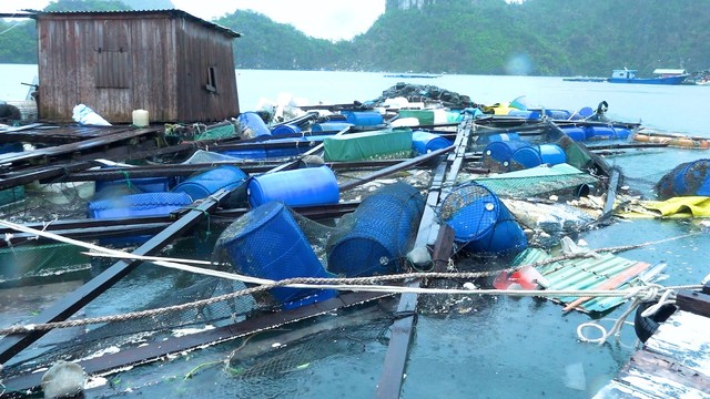 Ngư dân Quảng Ninh mất trắng hàng nghìn tỉ đồng vì bão số 3- Ảnh 1.