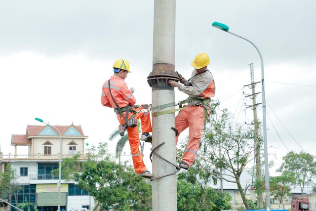 Vì sao Giám đốc Điện lực TP.Hạ Long bị tạm đình chỉ chức vụ?
- Ảnh 1.