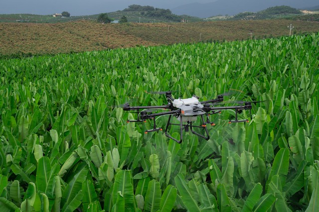 T.Ư Đoàn phối hợp Công ty AgriDrone VN chuyển hàng cứu trợ bằng máy bay không người lái- Ảnh 2.