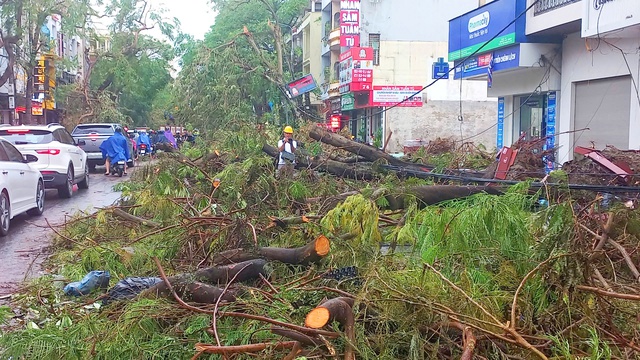 Đến ngày 18.9 Hải Phòng sẽ dọn sạch toàn bộ rác thải sau bão- Ảnh 1.