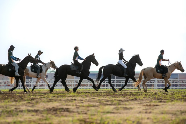 Loài ngựa cao nhất thế giới chào đời tại Vinpearl Horse Academy- Ảnh 4.