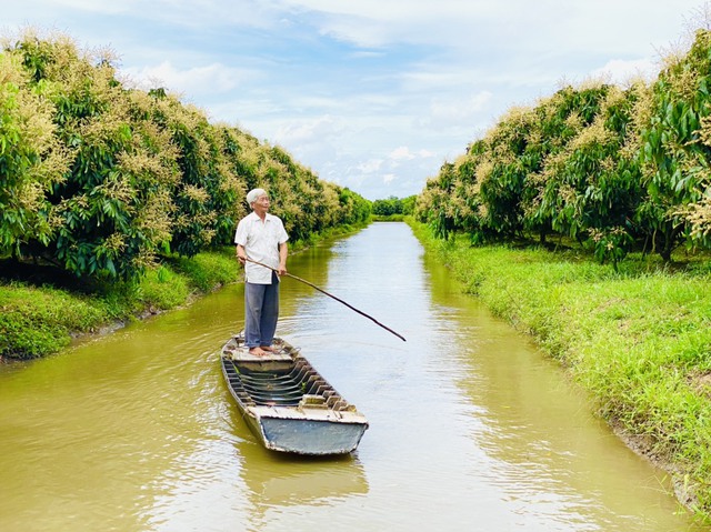 Làng Việt Nam: Làng Nhị Quý gửi gắm ân tình xuyên ký ức tháng năm- Ảnh 1.