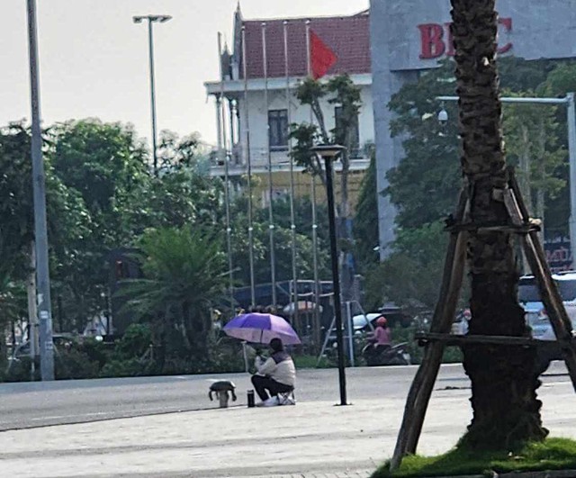 Người bày bán rùa răng trên phố ở Hà Tĩnh có vi phạm quy định?- Ảnh 2.