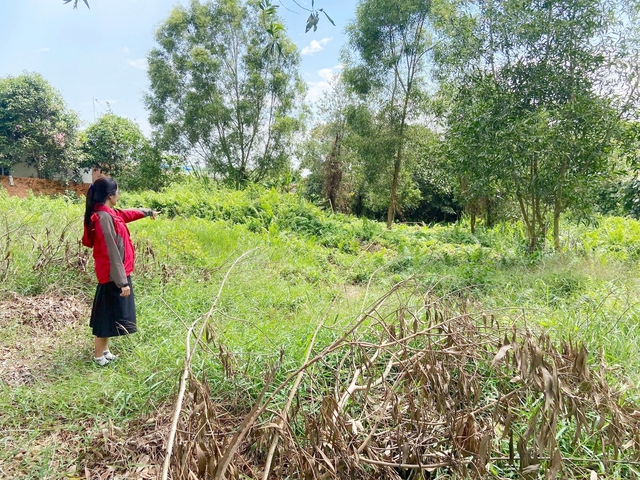 Khổ vì án dân sự bị hủy, sửa: Khi tòa và viện 'chỏi' nhau- Ảnh 1.