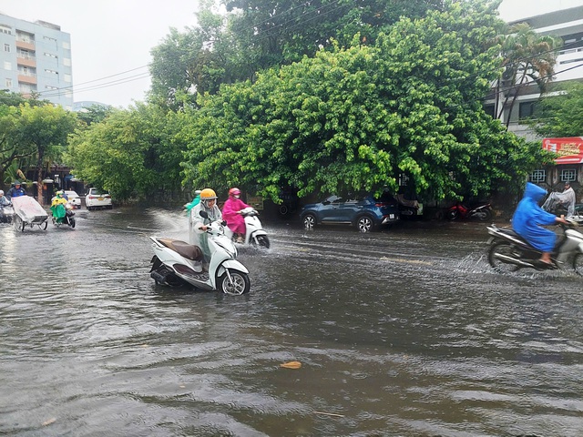 Thành ủy Đà Nẵng lập 7 đoàn kiểm tra công tác phòng chống bão số 4- Ảnh 2.