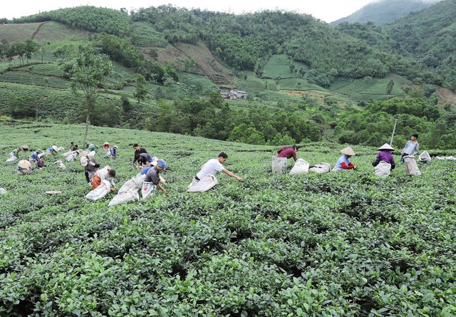 Làng Việt Nam: Từ suối Đôi lên xóm Núi tới Tràng Dương ở Thái Nguyên- Ảnh 1.