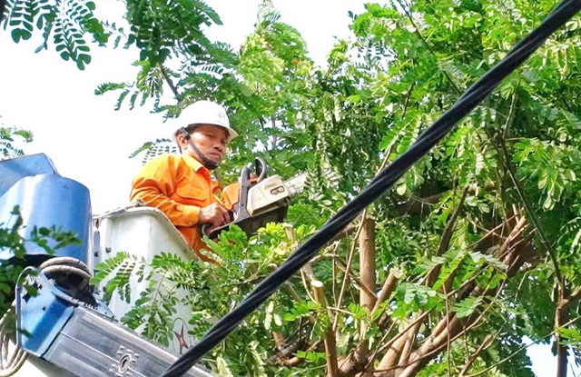 PC Đà Nẵng tăng cường phát quang hành lang tuyến theo phương án và kế hoạch ứng phó mưa bão