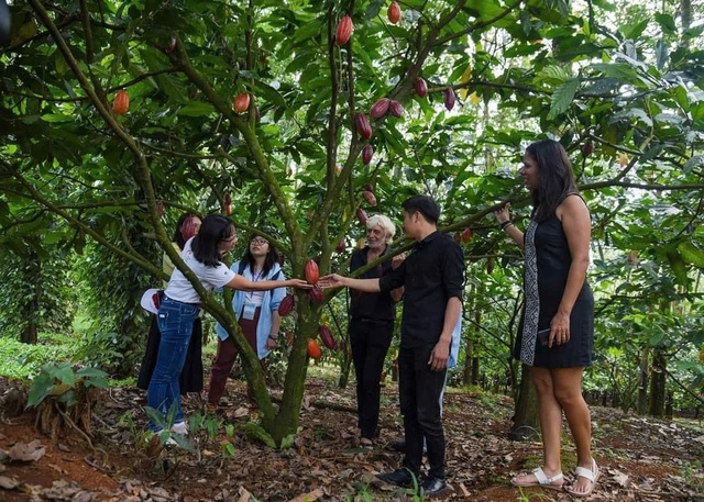 Du khách được tham quan vườn ca cao Ánh Mai và trải nghiệm làm sô-cô-la tại Enjoy Ca Cao – Các đối tác điểm đến, cung cấp những sản phẩm du lịch đặc thù và những mặt hàng nông sản đặc trưng trong vùng Công viên địa chất toàn cầu UNESCO Đắk Nông. Nguồn: BQL CVĐC Đắk Nông Cam kết chất lượng và dịch vụ ổn định