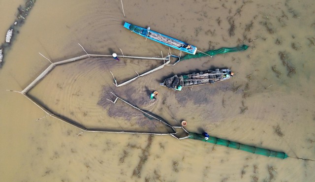 Bão Yagi gây ra trận lũ lớn trên sông Mekong, đang di chuyển về ĐBSCL
- Ảnh 1.