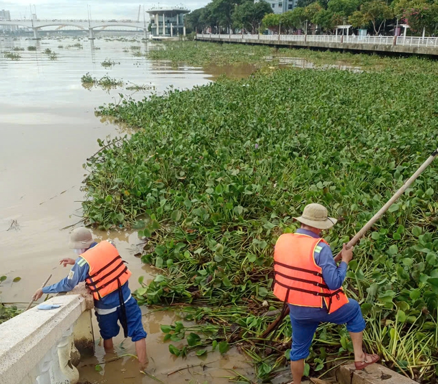 Dọn dẹp hàng chục tấn rác, trả lại bãi biển Đà Nẵng sau bão số 4- Ảnh 5.