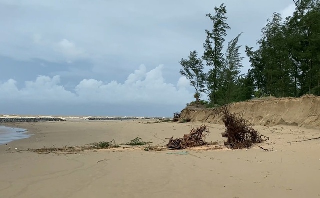 Bờ biển ở Hà Tĩnh sạt lở nghiêm trọng- Ảnh 1.