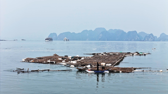 Rác thải 'uy hiếp' vịnh Hạ Long- Ảnh 3.