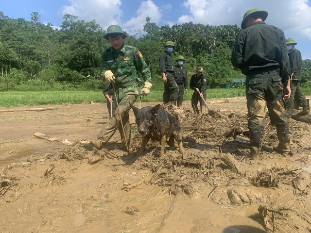 Còn 11 người mất tích ở Làng Nủ, đội chó nghiệp vụ đã rút khỏi hiện trường- Ảnh 1.