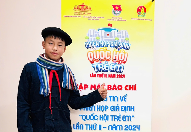 Đại biểu Quốc hội trẻ em: 'Em không muốn trẻ em phải nghỉ học'- Ảnh 1.