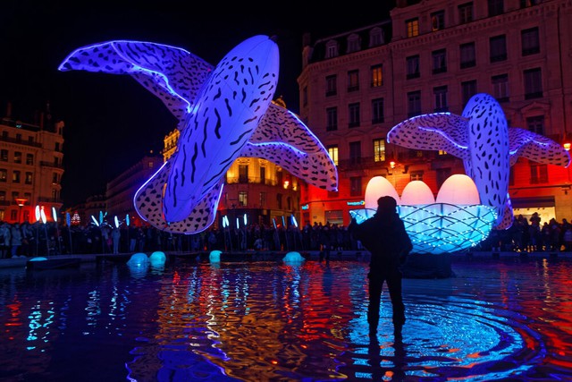 Lyon Light Festival, a colorful art event of France - Photo 2.