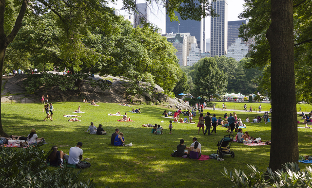 Vẻ đẹp bốn mùa rực rỡ tại Central Park, New York- Ảnh 2.