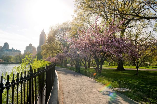 Vẻ đẹp bốn mùa rực rỡ tại Central Park, New York