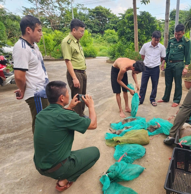 Bắt quả tang người đàn ông ở Côn Đảo vận chuyển 17 con khỉ đuôi dài - Ảnh 1.