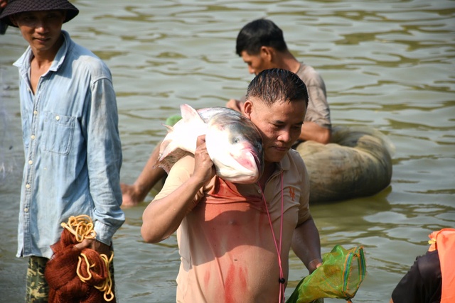 Hàng trăm người bắt cá 'khủng' khi thủy điện Trị An đóng xả tràn- Ảnh 4.